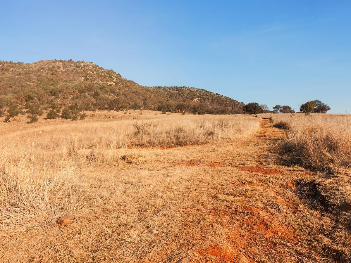 Kloofzicht Lodge & Spa Krugersdorp Exteriör bild The trail near the summit of Mount Scott